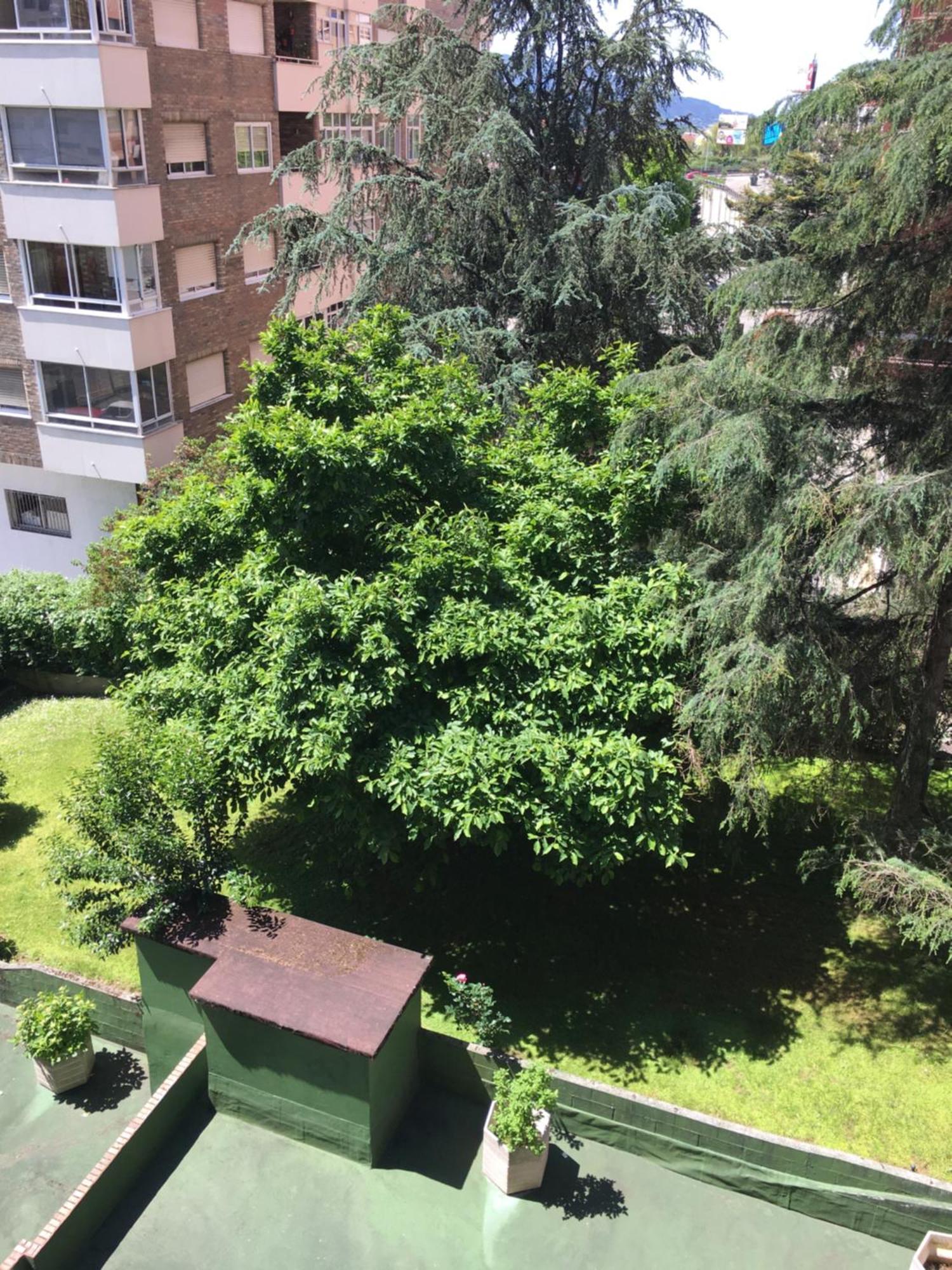 比戈Gaivota Amplio Y Luminoso Con Plaza De Garaje公寓 外观 照片